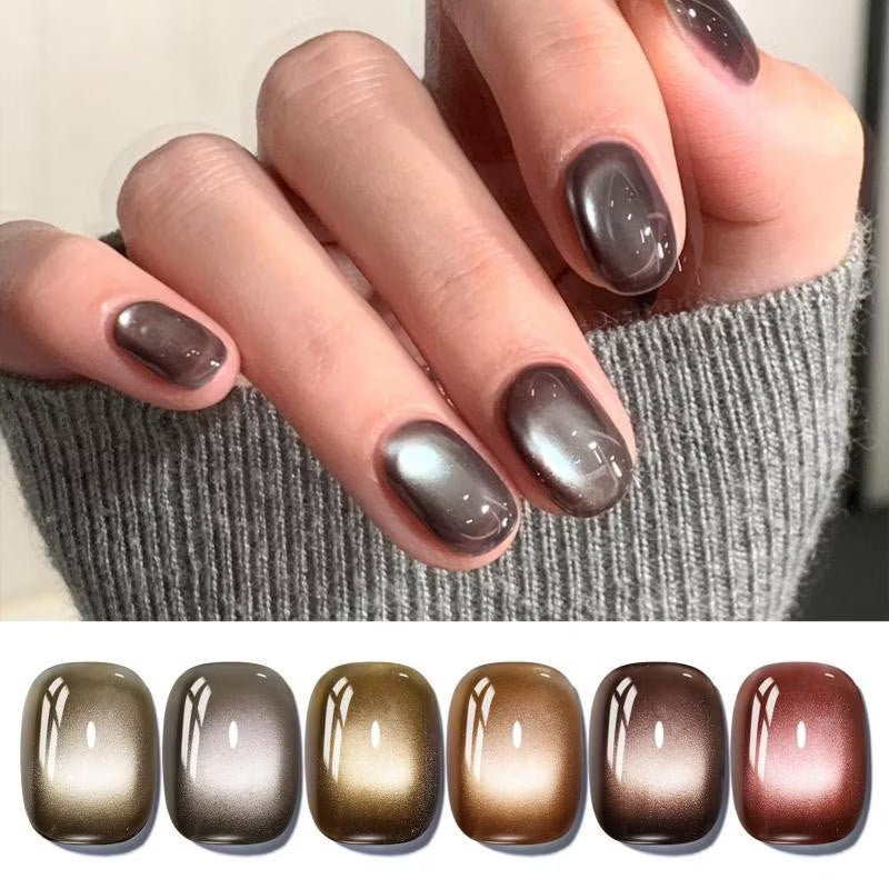 BORN PRETTY 6 Pcs Cat Eye Magnetic Gel Nail Polish Set Coffee Brown