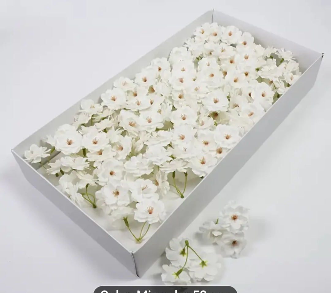 scented cherry blossom